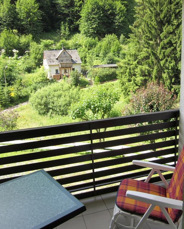 Schwarzenbach am Wald Gasthof Rodachtal Mit Gaestehaus Katharina חדר תמונה